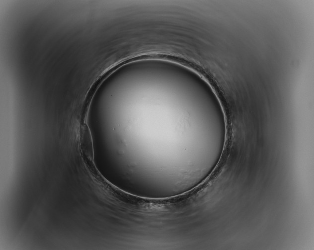 X0000093531505200710121550