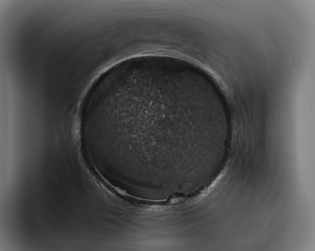X0000093531506200710121550