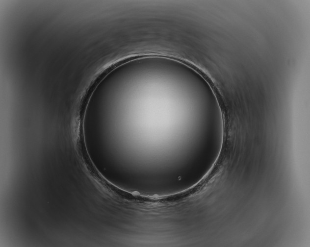 X0000093531507200710121550