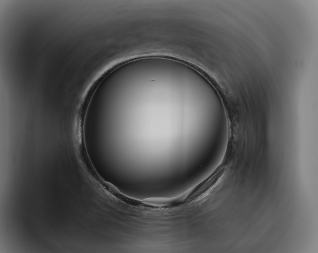 X0000093531510200710121550