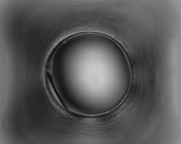 X0000093531511200710121550
