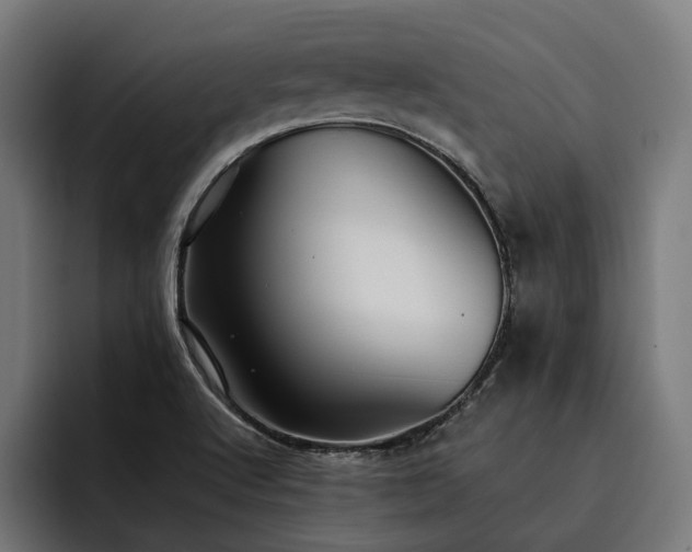 X0000093531512200710121550