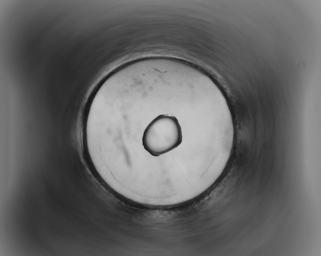 X0000093531514200710121550