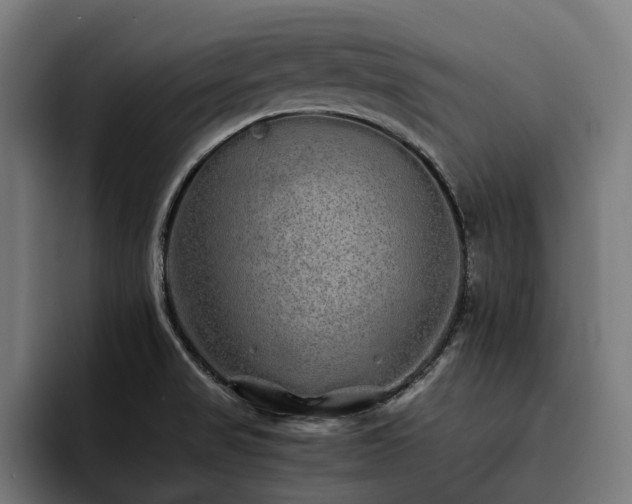 X0000093531517200710121550