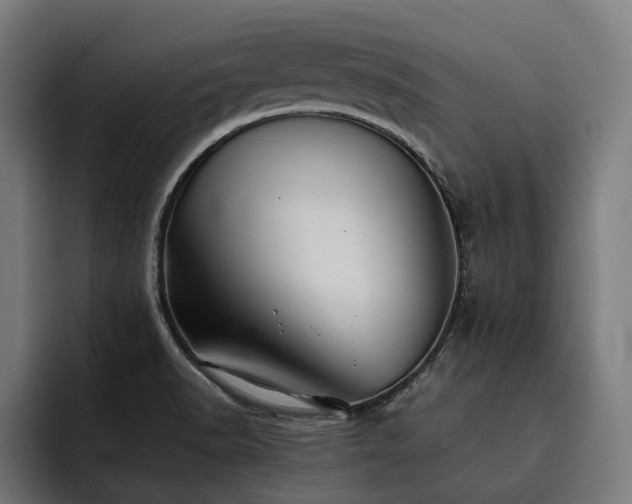 X0000093531518200710121550
