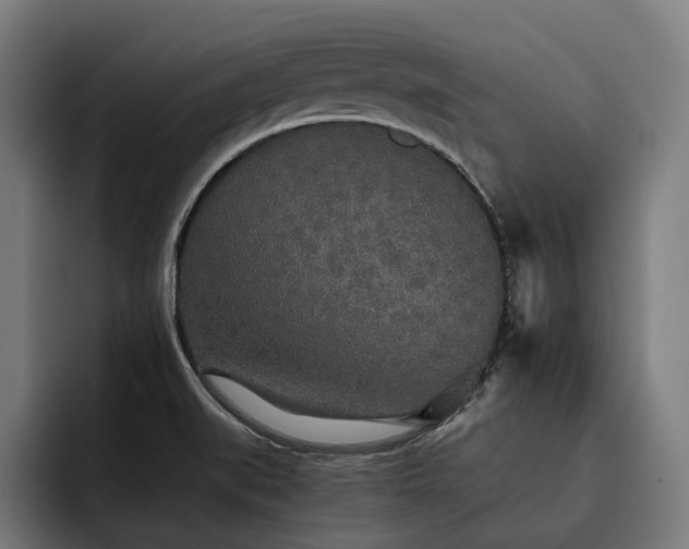 X0000093531519200710121550
