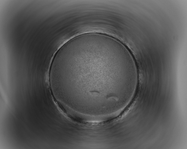 X0000093531521200710121550