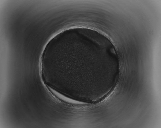 X0000093531522200710121550