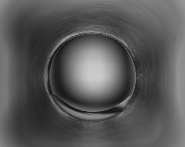 X0000093531523200710121550
