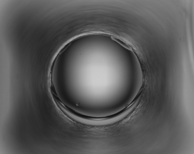X0000093531524200710121550