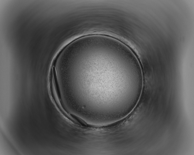 X0000093531525200710121550