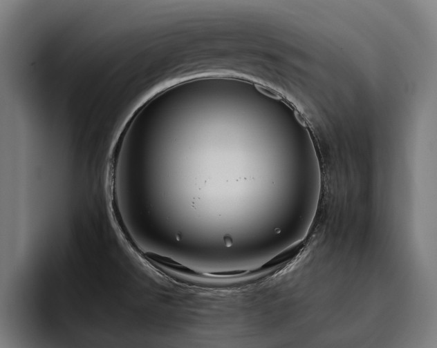 X0000093531526200710121550