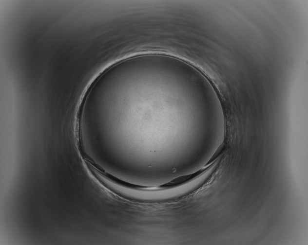 X0000093531527200710121550