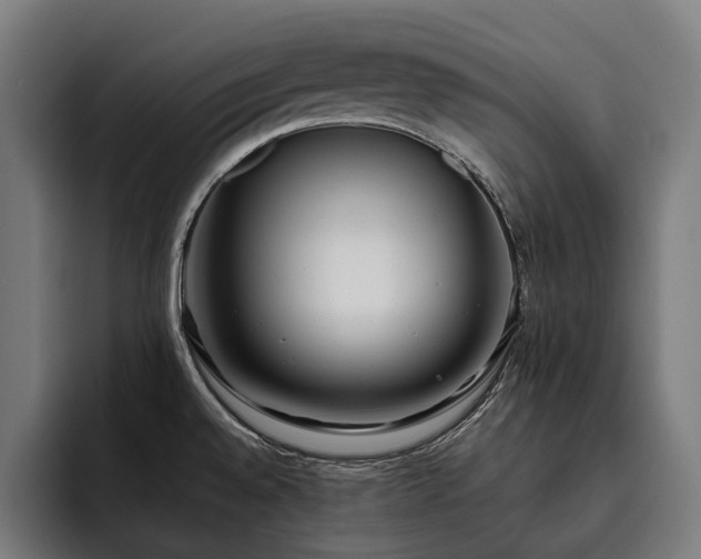 X0000093531528200710121550