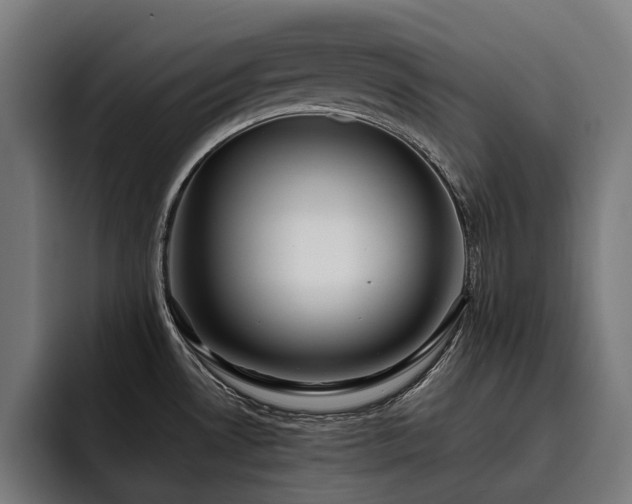 X0000093531530200710121550
