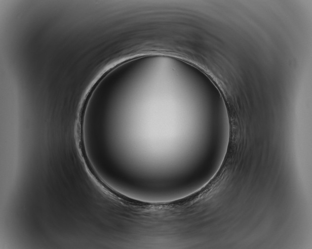X0000093531531200710121550