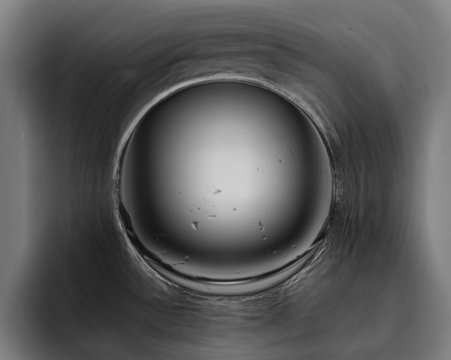X0000093531532200710121550