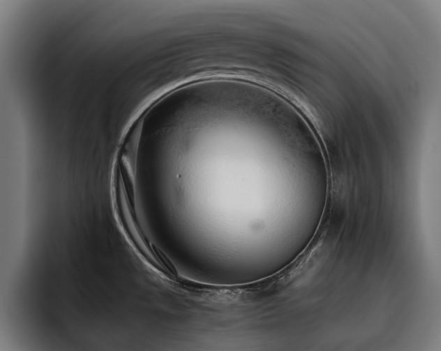 X0000093531533200710121550