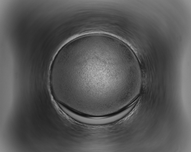 X0000093531534200710121550
