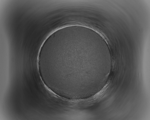 X0000093531535200710121550
