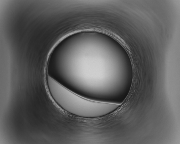 X0000093531536200710121550
