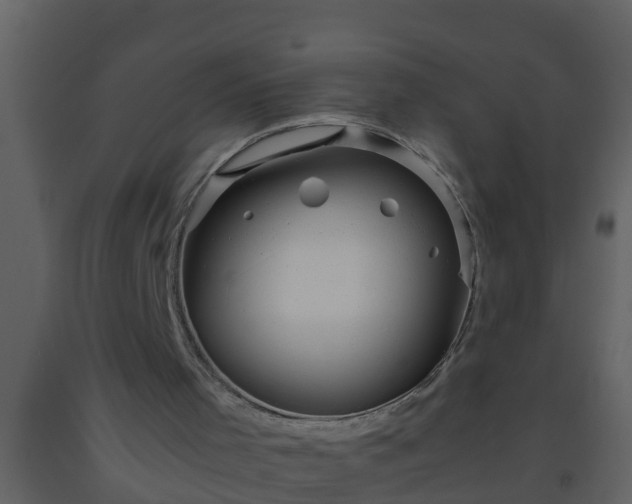 X0000093530001200710191403