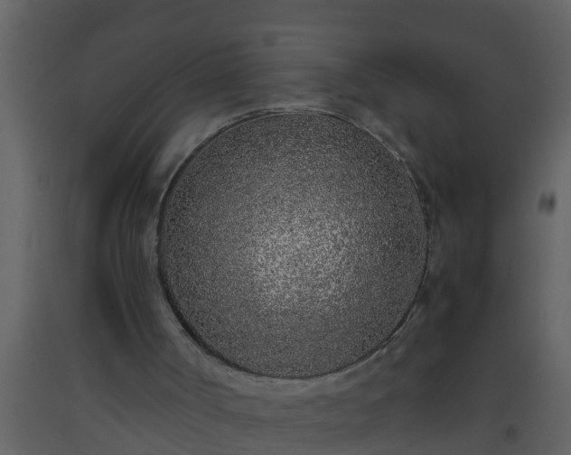 X0000093530002200710191403