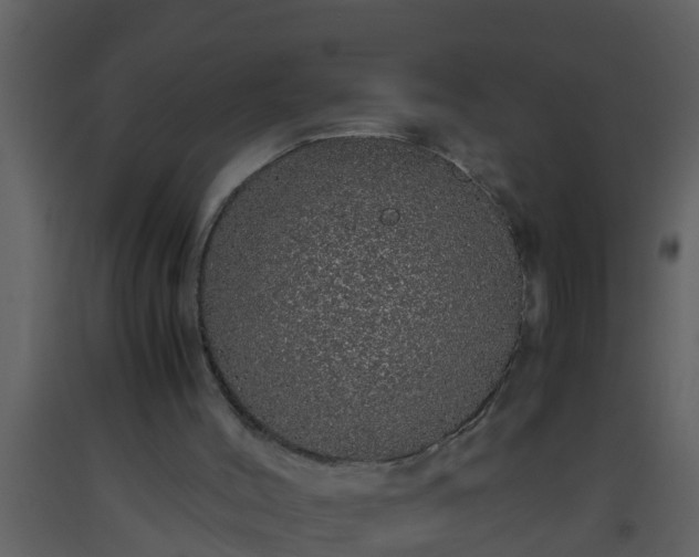 X0000093530004200710191403