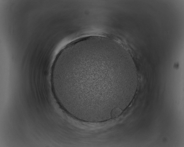 X0000093530006200710191403