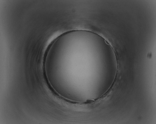 X0000093530008200710191403