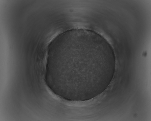 X0000093530009200710191403