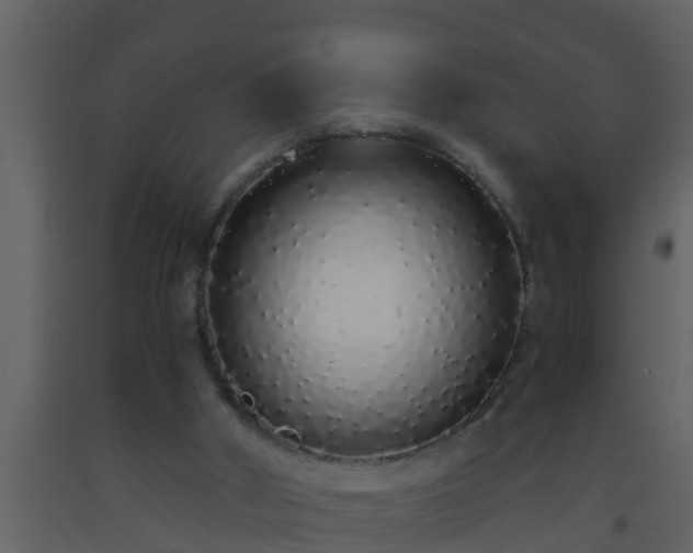 X0000093530010200710191403