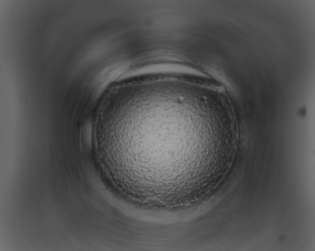 X0000093530014200710191403