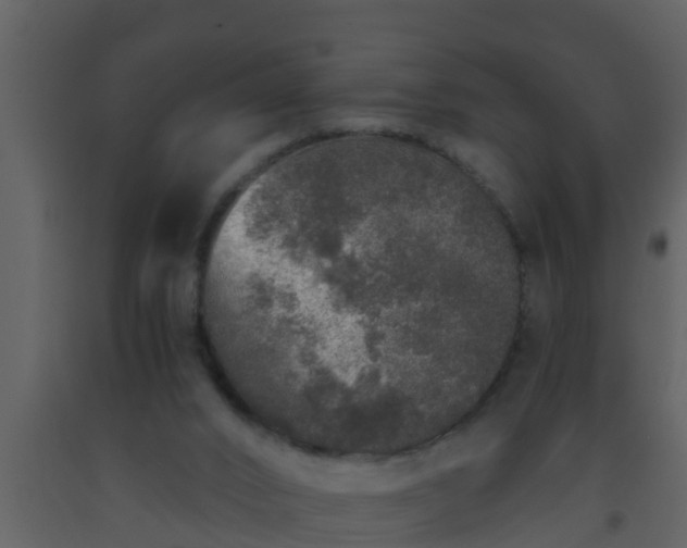 X0000093530016200710191403