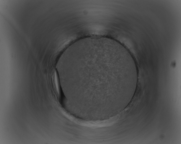 X0000093530017200710191403