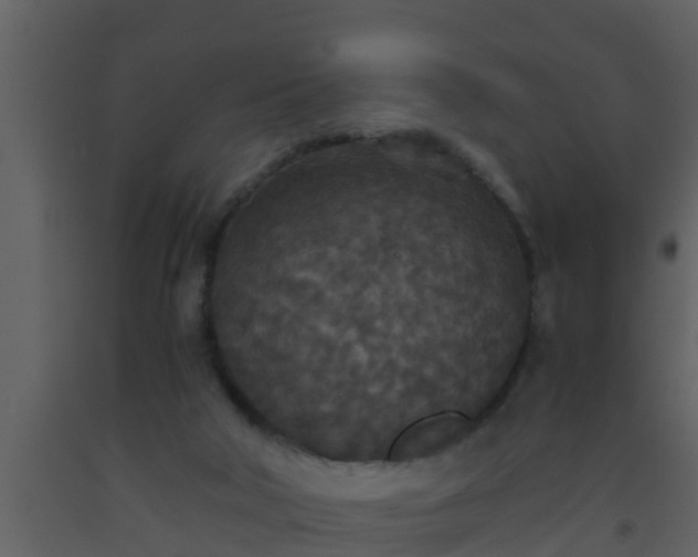 X0000093530018200710191403