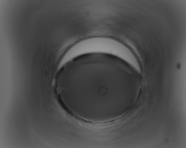 X0000093530019200710191403