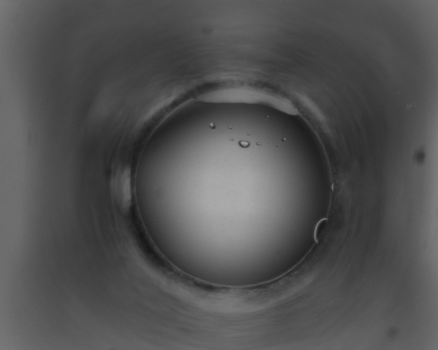 X0000093530020200710191403