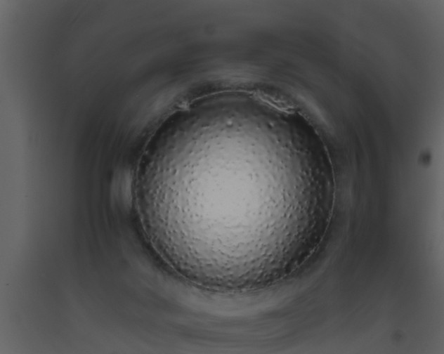 X0000093530022200710191403