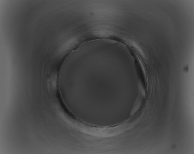 X0000093530023200710191403