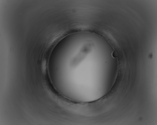 X0000093530024200710191403