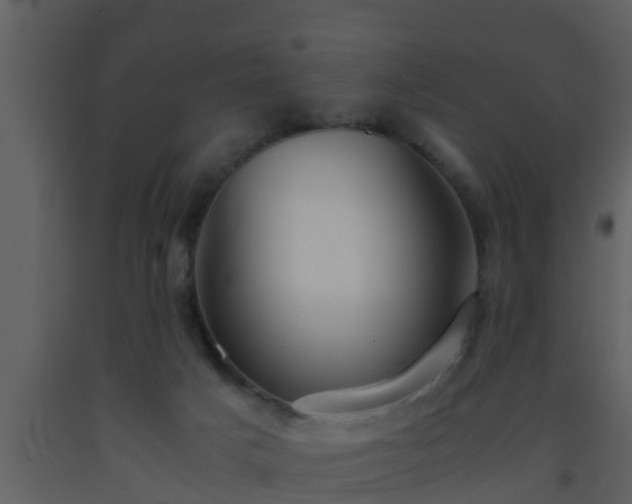 X0000093530025200710191403