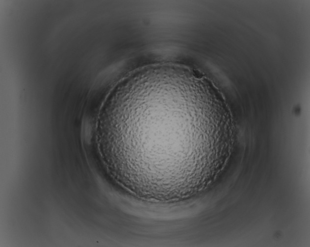 X0000093530026200710191403