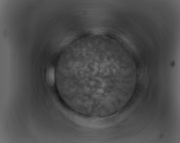 X0000093530028200710191403