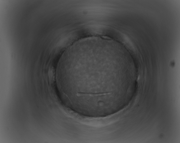 X0000093530029200710191403