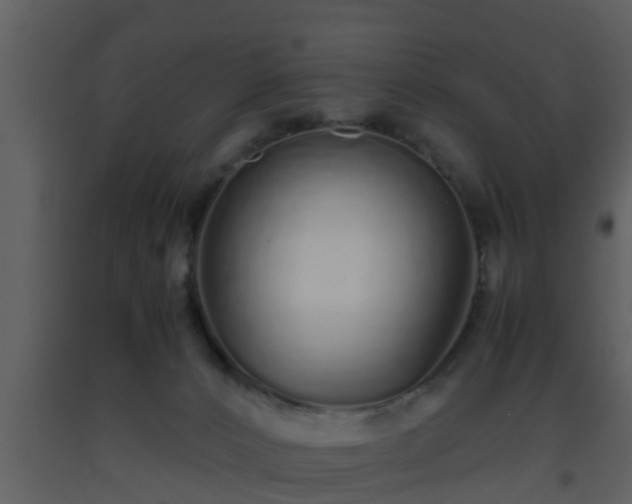 X0000093530032200710191403