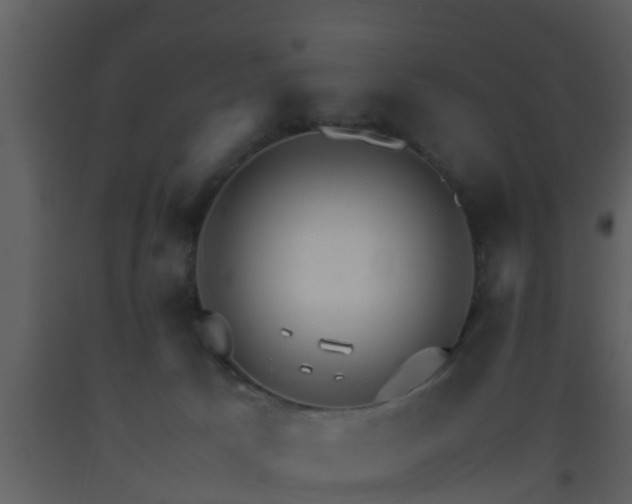 X0000093530033200710191403