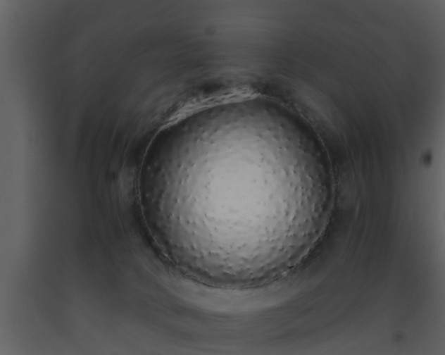 X0000093530034200710191403