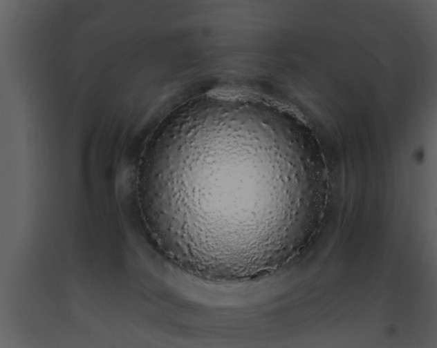 X0000093530038200710191402