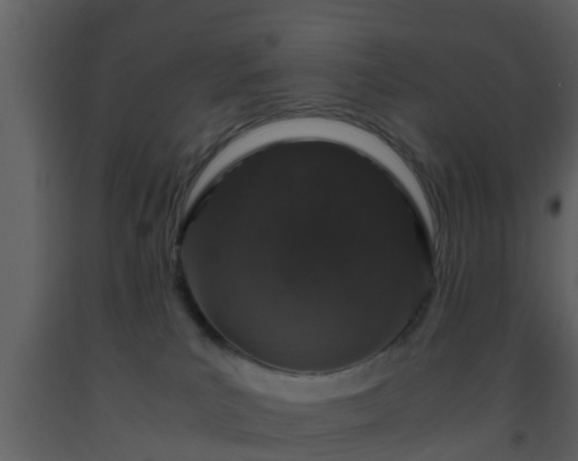 X0000093530039200710191402